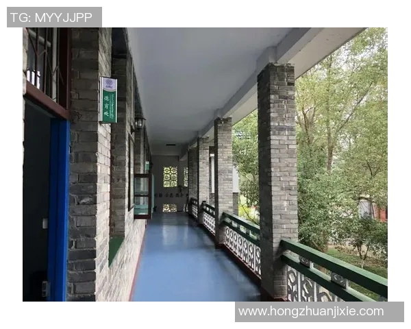 景菡一的成长之路：从初学者到行业翘楚的奋斗故事